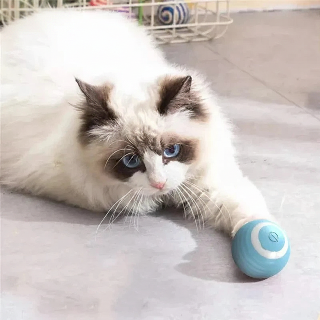 USB Rechargeable Interactive Ball for Cats & Dogs